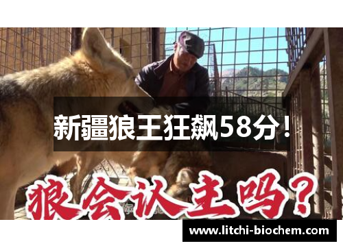 新疆狼王狂飙58分！