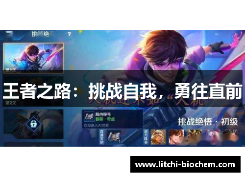 王者之路：挑战自我，勇往直前